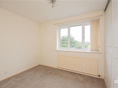 Picture 27